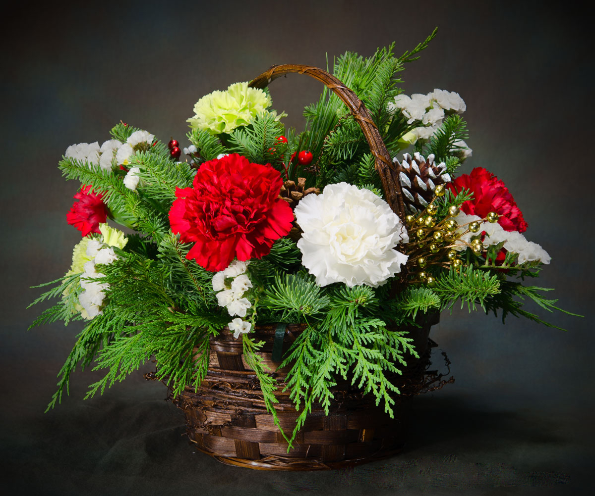 Carnation flower arrangement for Christmas