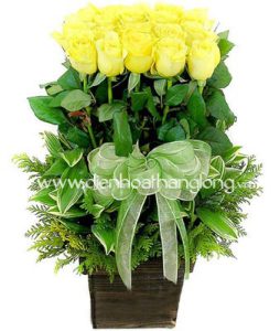 Birthday Flowers 037