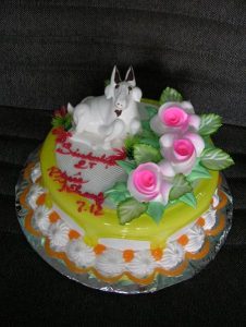 Birthday Cakes 007