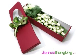 Flower Box 001