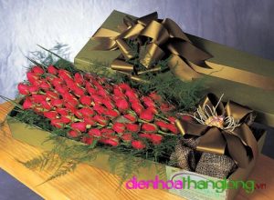 Flower Box 011