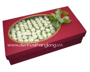 Flower Box 015