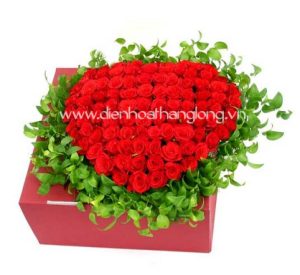 Flower Box 017