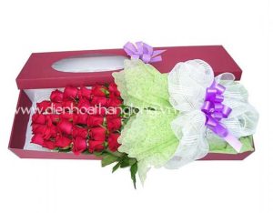 Flower Box 021