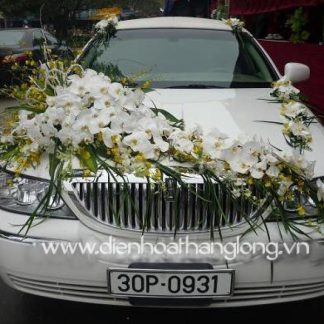 Wedding Flower Cars 013