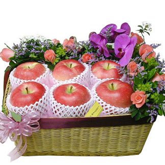 Fruit Basket 006
