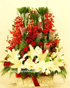 Vip Flowers 038