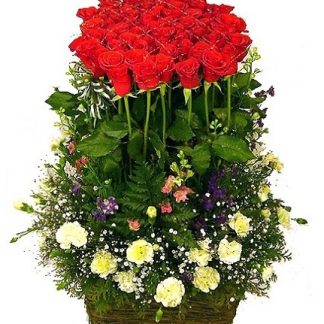 Christmas Flowers 026